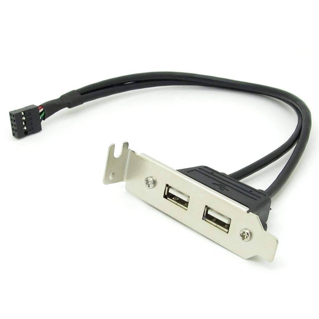 USB 2.0 Low Profile rear bracket header (2x Ports)